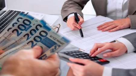 Ölkənin vergi ödəyicilərinin yarısı niyə fəaliyyətsizdir? - HƏQİQƏTƏN DƏ...