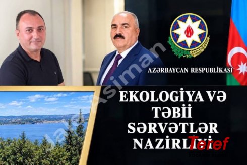 ​CƏLİLABAD MEŞƏLƏRİNDƏ NƏ BAŞ VERİR? – VİDEO